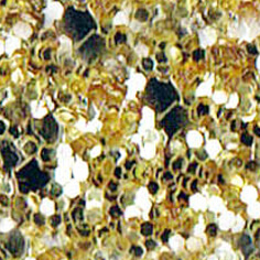 COLOR CHAMPAN GL 